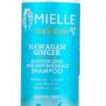 ميلي شامبو مرطب ومضاد للتقصف بالزنجبيل هاواي من مويستشر ار اكس - 355 مل