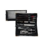 طقم مانيكير تيتانيا